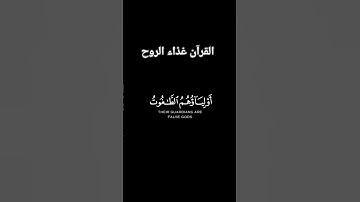 قرآن كريم شاشة سوداء تلاوة خاشعة للشيخ ماهر المعيقلي