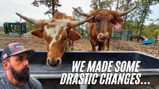 видео: Их больше нет | Некоторым из вас это видео не понравится картинка: Их больше нет | Некоторым из вас это видео не понравится