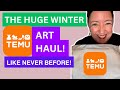 THE HUGE WINTER Temu Art HAUL!