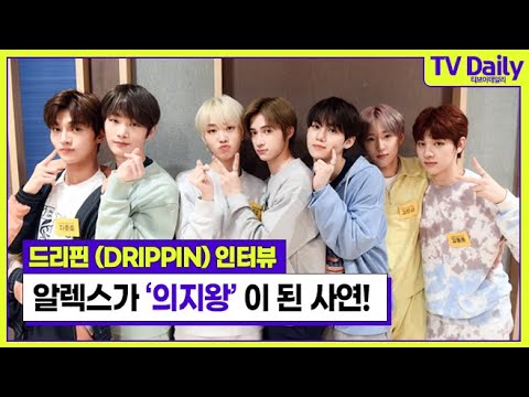 드리핀 알렉스(DRIPPIN ALEX)가 ‘의지왕’이 된 사연은? [TD습격영상]
