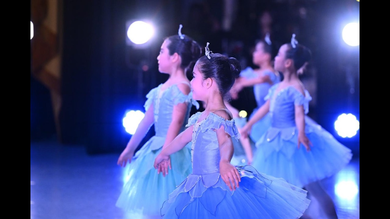 DreamparfaitStudio ~2025年1部「眠りの森の美女3幕」ダイジェスト