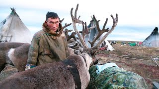 Кочевник | Ясавэй. Кочевник ХХI века