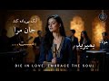آنک بی باده کند جان مرا مست کجاست بمیرید بمیرید در این عشق بمیرید      مولانا