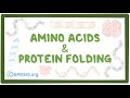Essential Amino Acids and Protein Synthesis Explained
