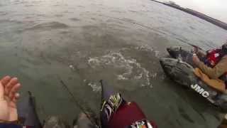 Session Sandre Part 2 HD / Hollands Diep / All-Time Fishing