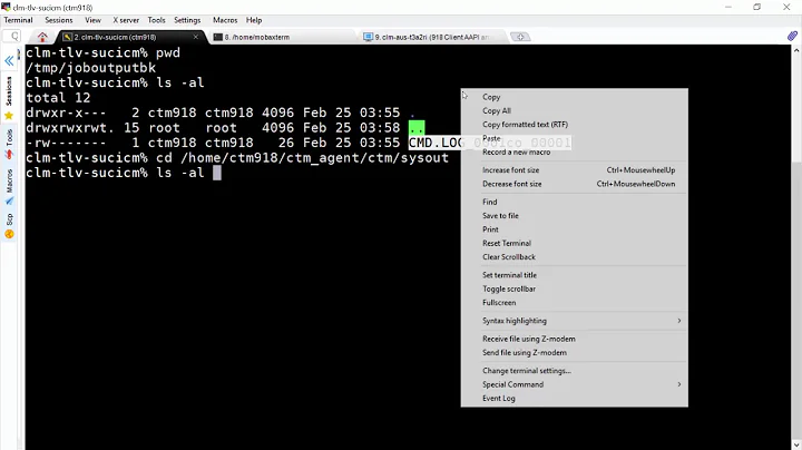 How to configure the Control-M Agent to copy the output to a new directory