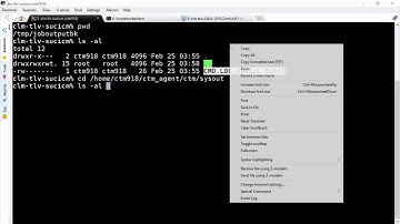 How to configure the Control-M Agent to copy the output to a new directory