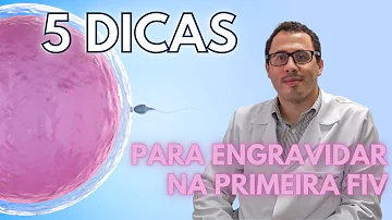 Quais as chances de engravidar na primeira FIV?