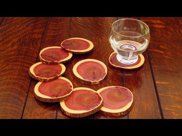 DIY Wood Coasters Made from a Log: How to Make Drink Coasters 