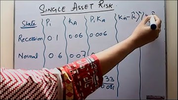 Risk of a single Asset