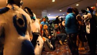 MFF 2015 Fursuit Parade Part 4