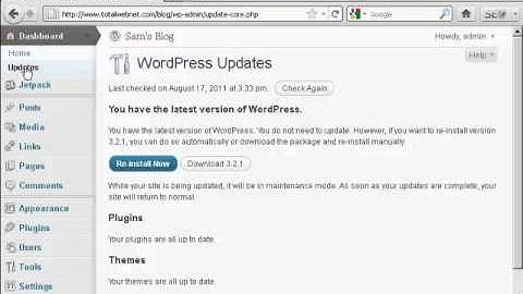 How to Upgrade WordPress Themes Automatically - WordPress Tutorial