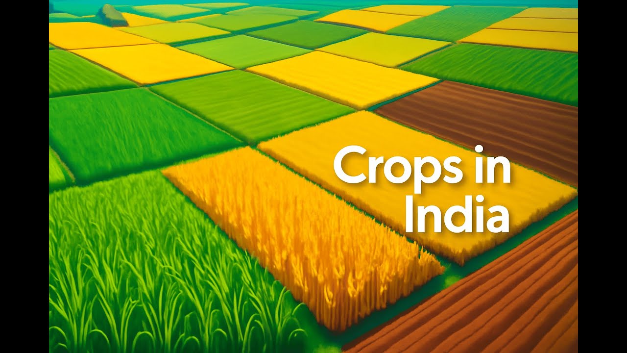 Crops in India: Key Types, Growing Seasons & Their Importance