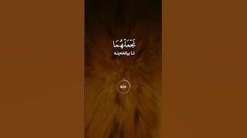 خالد الجليل - سورة فصلت - تلاوة خاشعة #راحة_نفسية #اكسبلور
