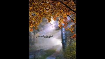 سورة الحجر_القارئ إبراهيم أحمد لطفي