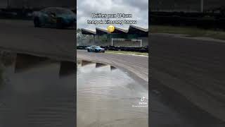 ni mesti anak buau loñg tiger