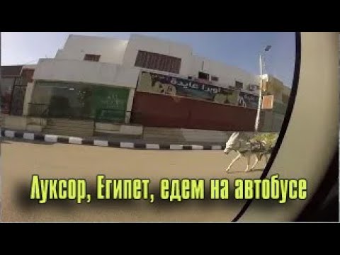 Почему он едет в египет