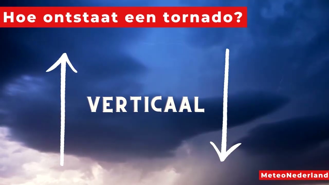 Wat Is Steenkool En Hoe Ontstaat Het Wat Is Steenkool En Hoe Ontstaat Het