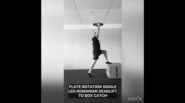 Plate Rotation Single Leg Romanian Deadlift to Box Catch
