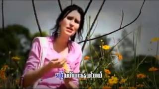 shan song chords