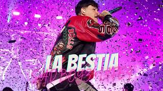 La Bestia - Junior H (Regional Mexicano)