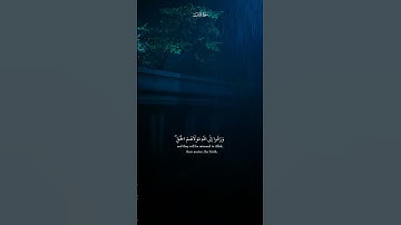 هُنَالِكَ تَبْلُو كُلُّ نَفْسٍ مَّا أَسْلَفَتْ|القارئ عبد الرحمن مسعد #قرآن
