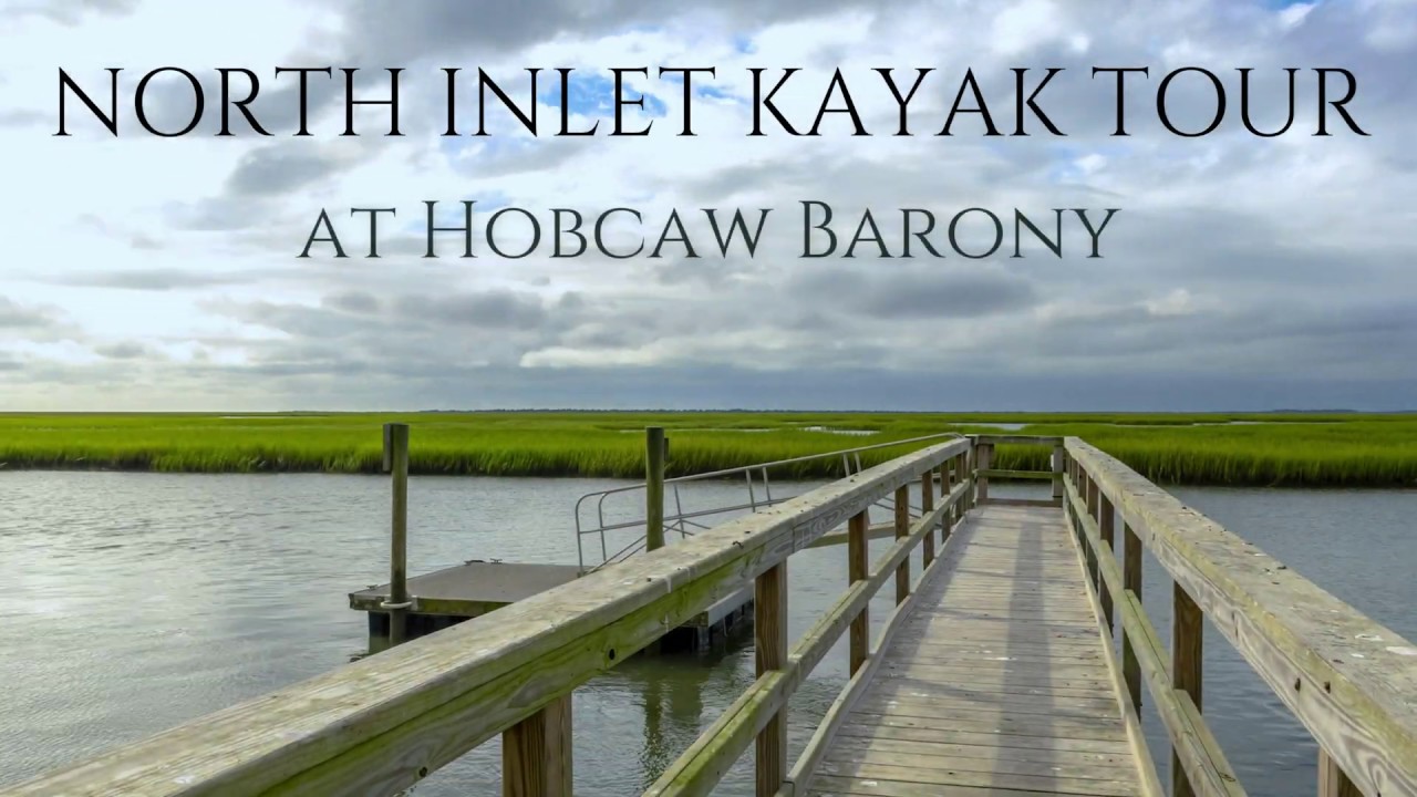 North Inlet Kayaking Tour along the North Inlet Estuary - YouTube