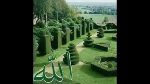 مقطع من سورة الأحزاب تلاوة أبي عبدالرحمن عبدالحكيم العرشاني