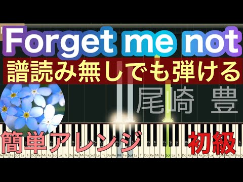 Forget Me Not フォーゲットミーノット尾崎豊 初級アレンジ 簡単譜読み無し Youtube