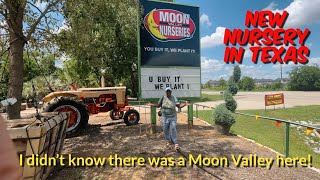 449: New To Texas Plant Nursery! Come With  Me To Moon Valley Nursery | Houseplants, Trees & Cactus