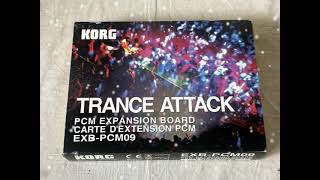 Korg EXB-PCM09 Trance Attack Expansion Board (sounds) - YouTube