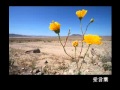 愛言葉