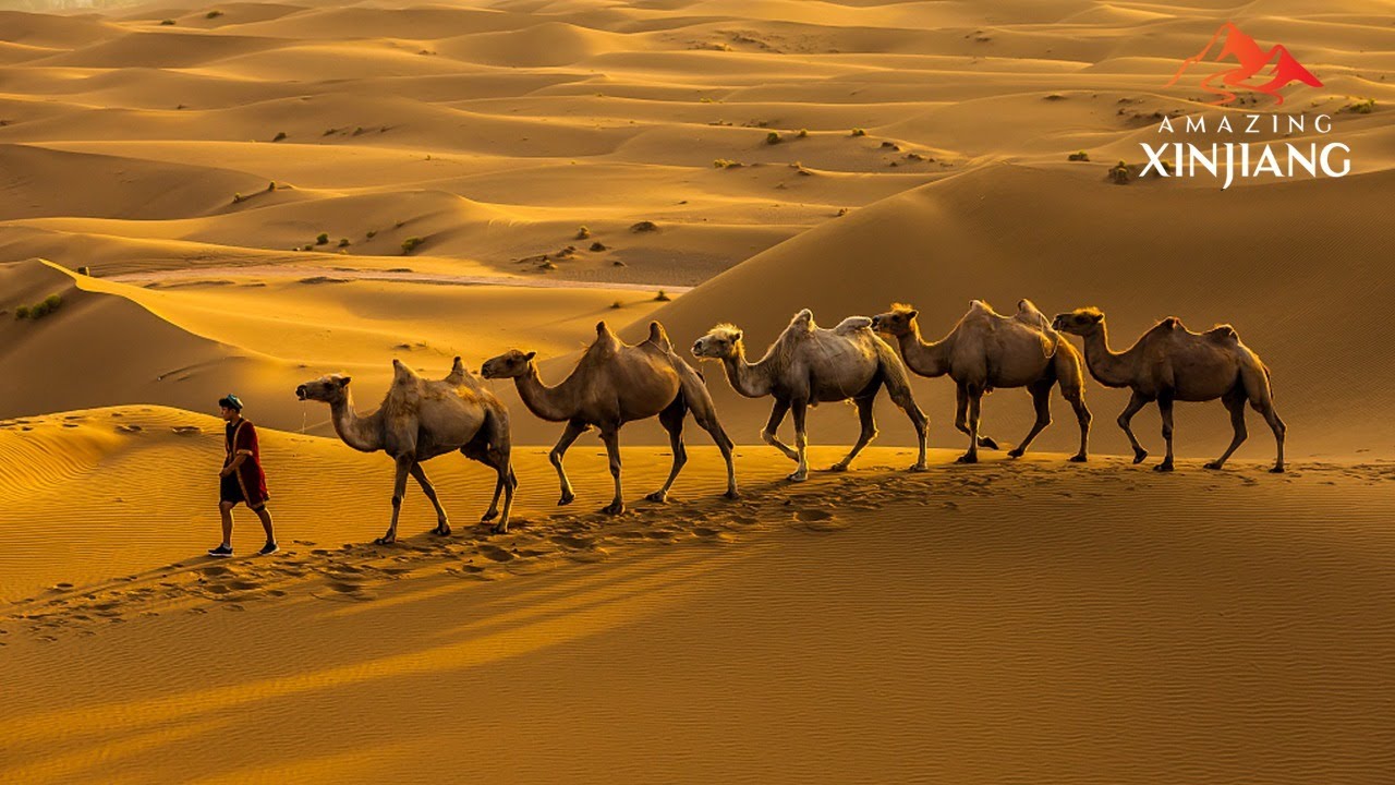 Live: Journey to the most challenging spectacle - the Kumtag Desert in 