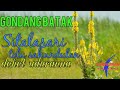 download Gondang Batak Sitalasari |toluSahundulan|®©™ - ANDALIMAN CHANNEL download Gondang Batak Sitalasari |toluSahundulan|®©™ - ANDALIMAN CHANNEL