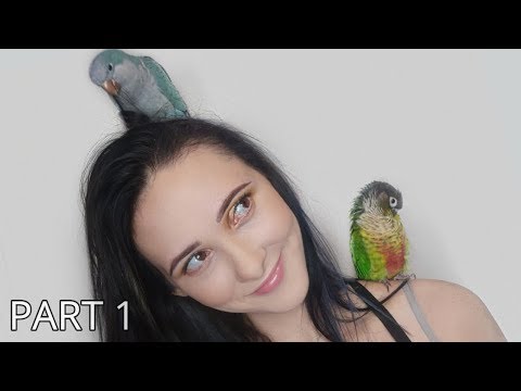 funny-things-parrot-owners-say