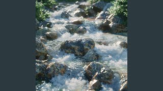 Tranquil Waters for Yoga Practice
