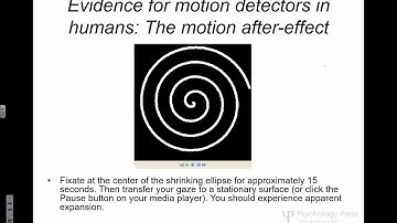 PSY 324 Visual Motion 4-4-19