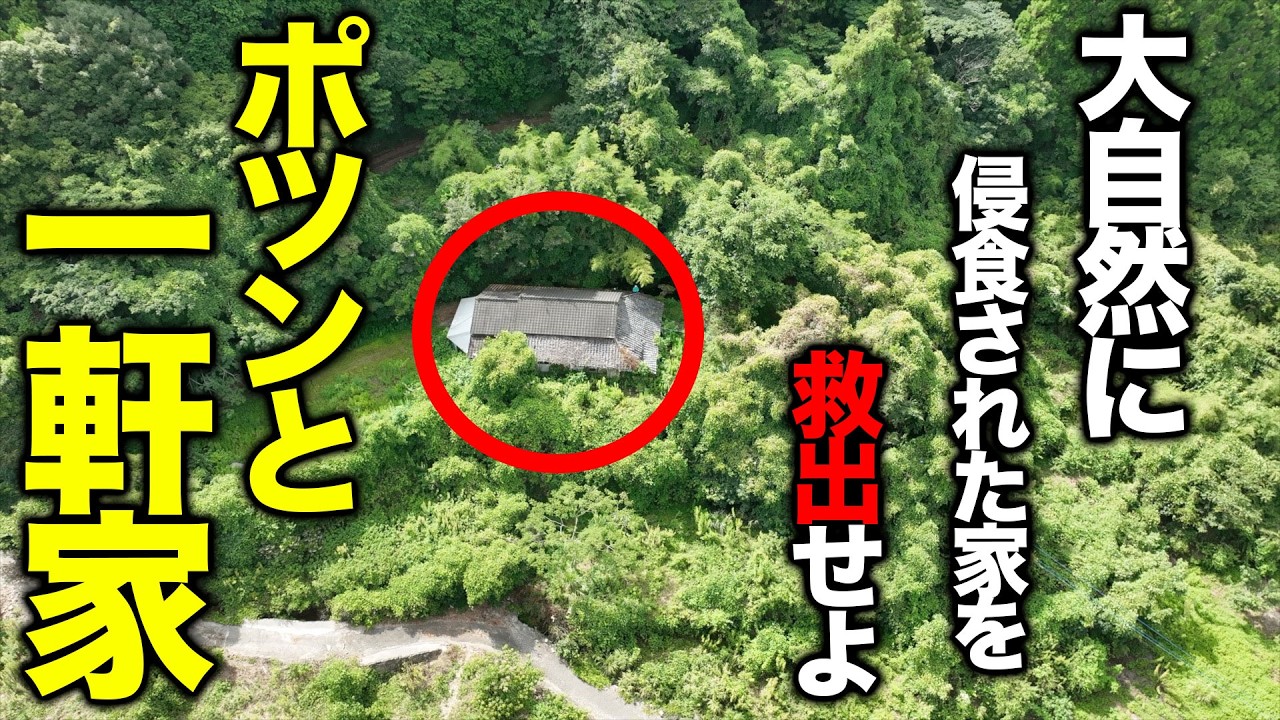 【緊急事態】大自然に侵食された築200年、江戸時代からある「ポツンと一軒家」を復活させよ！【ポツンと一軒家復活 2026】