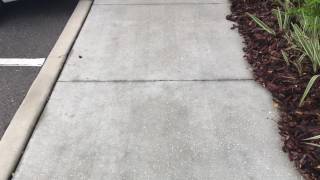Etched Concrete Bad!! Not all Pressure Washing companies are the dames.
