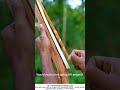 DIY Balloon Gun Shoots a Plate – Spring Outdoor Fun 🎈🎯