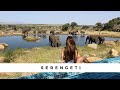 The Serengeti Four Seasons - An unforgettable Safari!