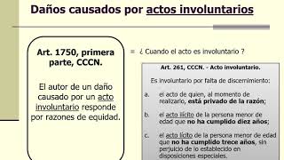 3   Factores objetivos de atribución   Agosto 2020