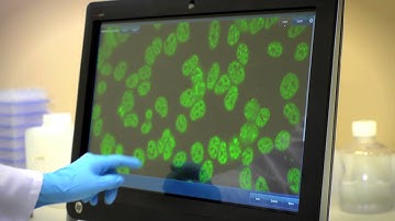 Inova Diagnostics QUANTA Link Video