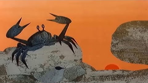 Stone - Expired - Official Music Video