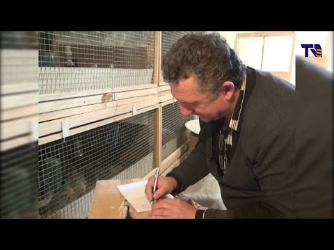 მესხი ფერმერების ჩართულობა სასოფლო–სამეურნეო პროგრამებში