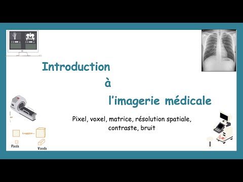 Introduction à L'imagerie Médicale: Pixel, Voxel, Résolution Spatiale, Bruit, Contraste et Coupes.