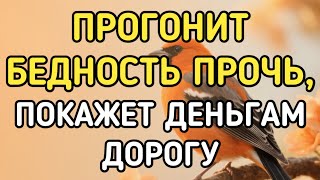 видео: Богатство СВАЛИТСЯ С НЕБЕС В ТВОЮ жизнь! Такое бывает 3 раз в 100 лет - СЧАСТЬЕ придёт в жизнь 04925 картинка: Богатство СВАЛИТСЯ С НЕБЕС В ТВОЮ жизнь! Такое бывает 3 раз в 100 лет - СЧАСТЬЕ придёт в жизнь 04925