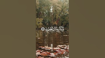 استمع لحظات تنفعك يوم القيامة00❤️ وتجهز لرمضان 🌙 | القرآن الكريم ( شُفَيَعٍگ يَۆم آلُقيَآمة )