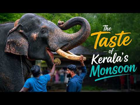 Karkidakam in Kerala: Ayurveda, Karkidaka Kanji & Elephant Rituals