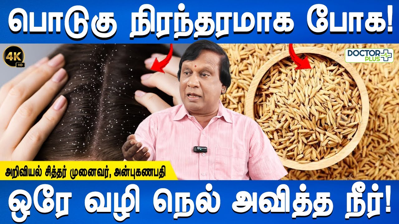 புதுசா வளரும் பொடுகு வராது | Hair fall control , Dandruff control remedy | Dr.Anbuganapathi